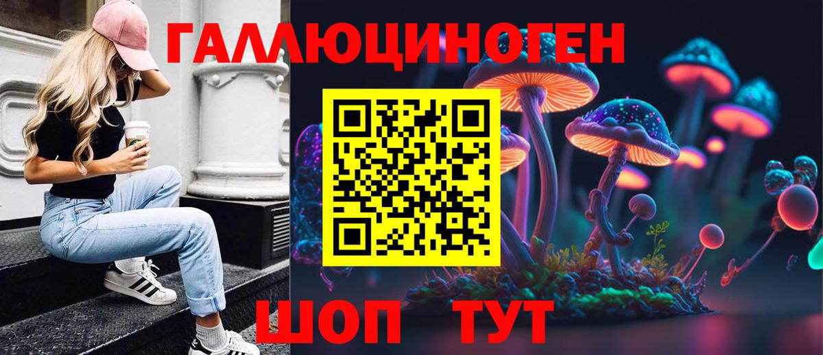 Псилоцибиновые грибы Psilocybe Камень-на-Оби